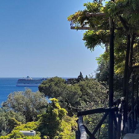 Villa Oliver - Breathtaking Small Pool 14 Sqm Hydromassage On The Rock - Amalfi Coast Exterior photo